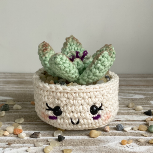 Crochet Plants 1